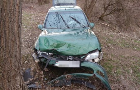 Втікаючи від угорської поліції контрабандист із Закарпаття врізався в дерево (+ФОТО)