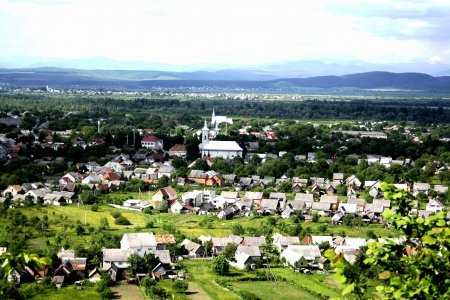 Чим нині живе Вишківська селищна рада та над чим працює депутатський корпус та виконком