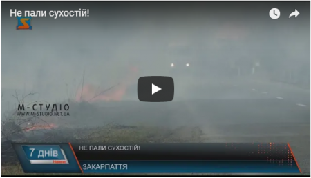 Погіршує здоров’я людей та руйнує екосистему: чому не варто палити сухе листя і траву (ВІДЕО)