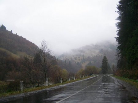 На Закарпатті очікуються дощі та зниження температури повітря