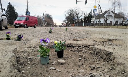 "Квіткова акція" у Виноградові: Москаль радить висадити квіти навпроти Мінінфраструктури