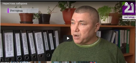 На Закарпатті заборонять нерестову ловлю риби (ВІДЕО)