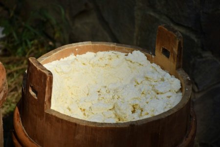 Гуцульська овеча бриндзя стане продуктом з географічним зазначенням