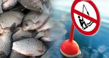 На Закарпатті оголосили заборону на ловлю риби