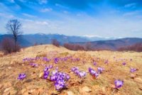 Закарпатські синоптики розповіли, якою буде погода у ці вихідні