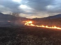 "Вогняне прибирання" триває: на Закарпатті масово спалюють сухостій