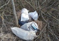В Угорщині з контрабандними сигаретами затримали закарпатця з подвійним громадянством