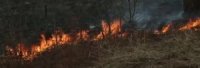 300 гектарів сухої рослинності вже знищили цієї весни випалюванням закарпатці (ВІДЕО)
