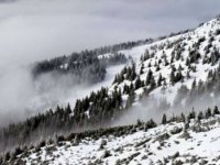 Лавинна небезпека вгорах триває