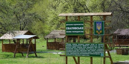 У "мінеральному" районі Закарпаття з’явилася нова зона відпочинку для мандрівників