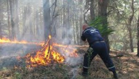 У горах Воловеччини гасили пожежу в лісі