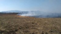 Пожежа в Долині нарцисів квітам не нашкодила