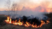 На Закарпатті три дні поспіль очікується пожежна небезпека високого рівня