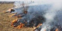 Закарпаття тоне у диму від спалювання листя і трави (ВІДЕО)