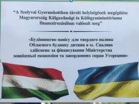 Обласний будинок дитини у Сваляві вдруге отримав допомогу від Угорщини
