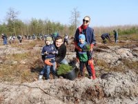 В Україні встановили рекорд за кількістю висаджених за один день дерев
