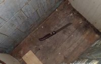 За вбивсто батька закарпатцю загрожує 15 років в’язниці