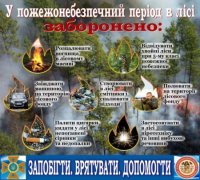 Цифри, які жахають: За вихідні закарпатські рятувальники ліквідували 28 пожеж сухостою
