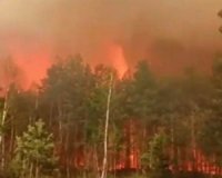 Масштабна пожежа: Горить один з найбільших заповідників України (ВІДЕО)
