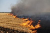 На Закарпатті надзвичайна пожежна небезпека