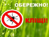 За 4 місяці 2019 року на Закарпатті зареєстровано 8 випадків захворювання на хворобу Лайма