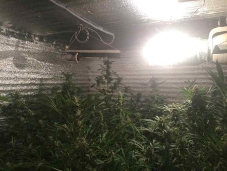 Нарколабораторію на Закарпатті створили переселенці з Одеської області