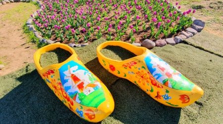 У селі на Закарпатті зараз неймовірна краса (ФОТО)