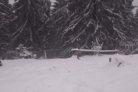 На Закарпатті можна покататися на лижах: Рахівщину замело (ФОТО)
