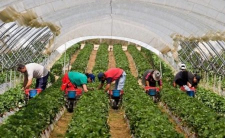 Українські заробітчани можуть отримати іноземну пенсію: хто і скільки