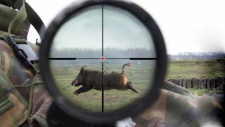 Особливості оптичного прицілу для полювання: як зробити правильний вибір