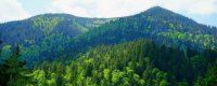 Туристична Міжгірщина: подорож українськими Карпатами