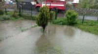 В Україні через підйом рівня води очікуються підтоплення