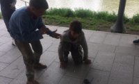 Безстрашні та ще й наглі: В Ужгороді малолітні цигани знущалися над червонокнижними полозами