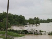 На Іршавщині затопило десятки гектарів сільгоспугідь (ФОТО)