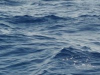 На Закарпатті з’ясовують, чи не принесло тіло знайденої в Тереблі дівчинки з Румунії