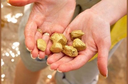 Вісті з "золотого" Мужієва: "Про компанію Gofer Mining Plc ані нам, ані громадськості нічого не відомо"