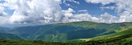 В Європарламенті стали на захист полонини Боржави від забудови її високогір’я вітряками (ДОКУМЕНТ)
