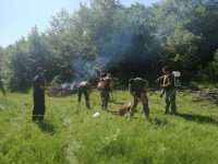 Закарпатські рятувальники та лісники тренуються ліквідовувати пожежі в екосистемах