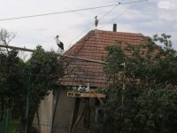 У Дунковиці на Іршавщині селяни врятували родину лелек (ВІДЕО)