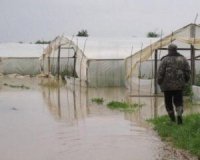 Розмиті дороги, пошкоджені мости: назвалу шокуючу суму збитків від повені на Закарпатті