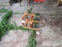 На Закарпатті дерев’яним стільцем забили до смерті пенсіонера (ФОТО)