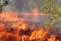 Пожежна тривога: синоптики назвали небезпечні регіони