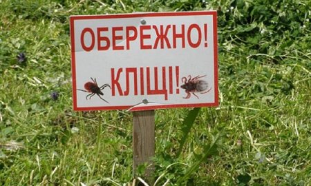 До уваги закарпатців: медики порадили захист від кліщів