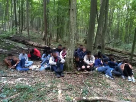 На Закарпатті біля кордону в лісі затримали 24 нелегалів. Шукають іще можливих та переправників, перекрили під’їзні шляхи (ФОТО, ВІДЕО)