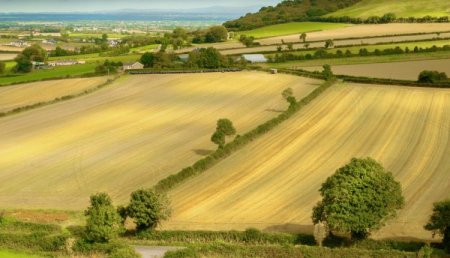 Стало відомо, коли в Україні знімуть мораторій на продаж землі