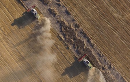 Опубліковано законопроект про ринок землі