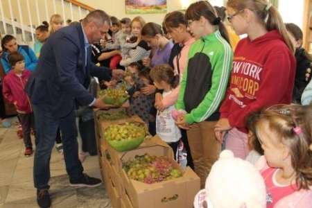 Сортові грона «Чизай» «дісталися» притулку «Добрий самаритянин»