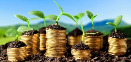Природні ресурси Закарпаття поповнили бюджет на понад 86 млн гривень