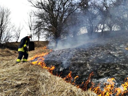 На Закарпатті впродовж доби стались 19 пожеж