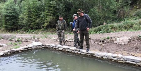 Лісівники Закарпаття розвивають побічне користування. Для чого?